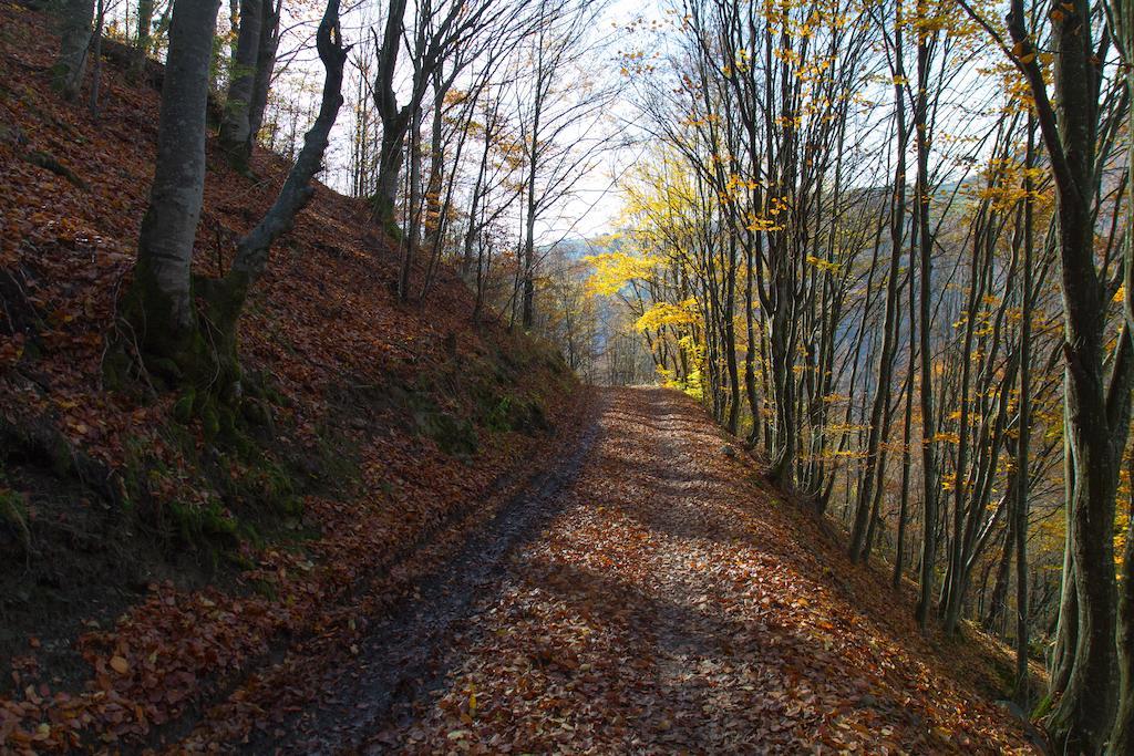 Kings Valley - Sunny Botesti Cîmpeni Exterior foto