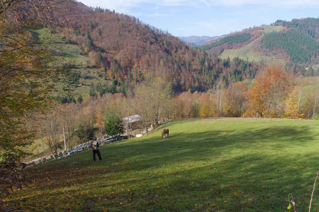 Kings Valley - Sunny Botesti Cîmpeni Exterior foto