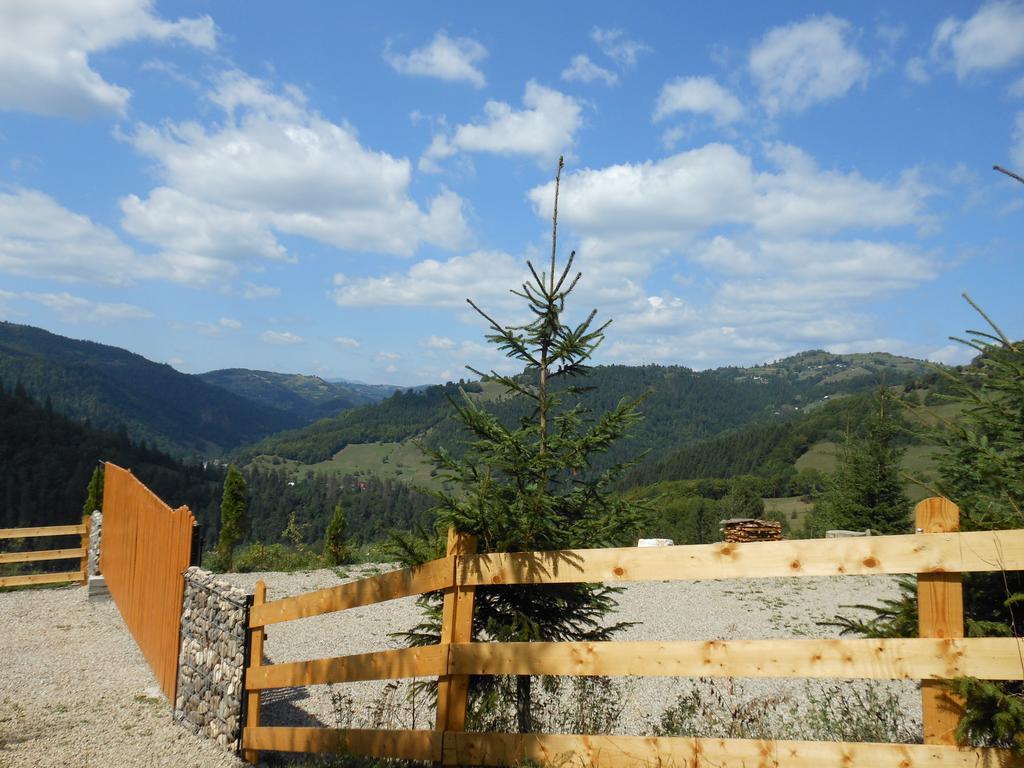 Kings Valley - Sunny Botesti Cîmpeni Exterior foto